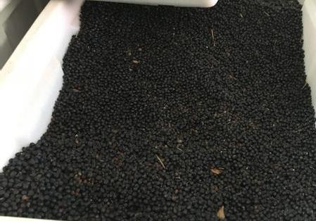 长沙东日园林工程有限公司,长沙园林绿化工程,长沙绿化养护管理