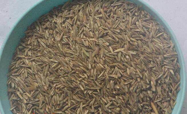 长沙东日园林工程有限公司,长沙园林绿化工程,长沙绿化养护管理