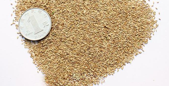 长沙东日园林工程有限公司,长沙园林绿化工程,长沙绿化养护管理