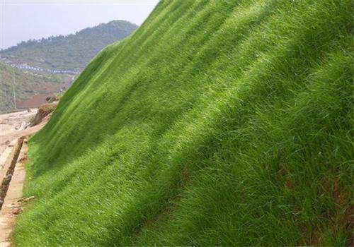 长沙东日园林工程有限公司,长沙园林绿化工程,长沙绿化养护管理