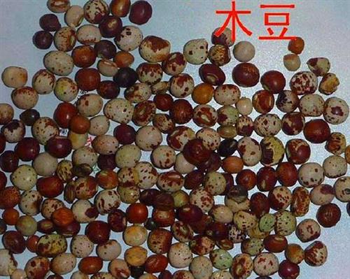 长沙东日园林工程有限公司,长沙园林绿化工程,长沙绿化养护管理