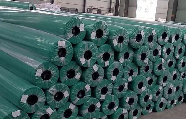 长沙东日园林工程有限公司,长沙园林绿化工程,长沙绿化养护管理