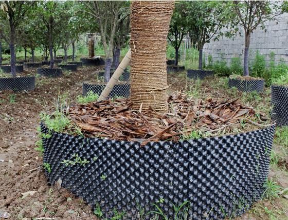 长沙东日园林工程有限公司,长沙园林绿化工程,长沙绿化养护管理