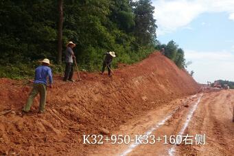 长沙东日园林工程有限公司,长沙园林绿化工程,长沙绿化养护管理