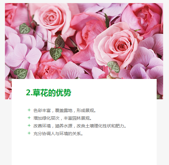 长沙东日园林工程有限公司,长沙园林绿化工程,长沙绿化养护管理